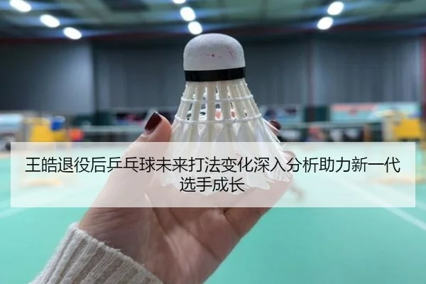 王皓退役后乒乓球未来打法变化深入分析助力新一代选手成长