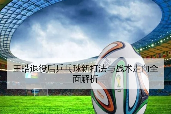 王皓退役后乒乓球新打法与战术走向全面解析