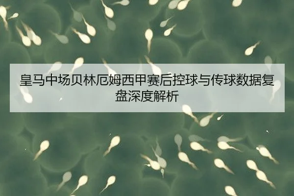 皇马中场贝林厄姆西甲赛后控球与传球数据复盘深度解析